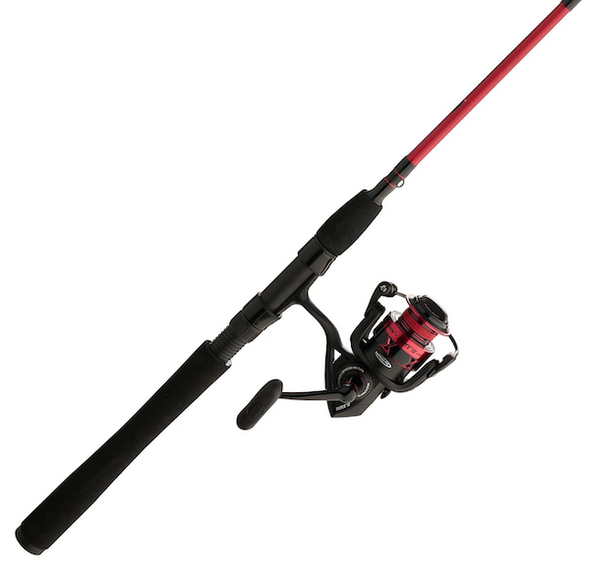 PENN Fierce IV 8000 2-Piece Spinning Combo, 10 feet