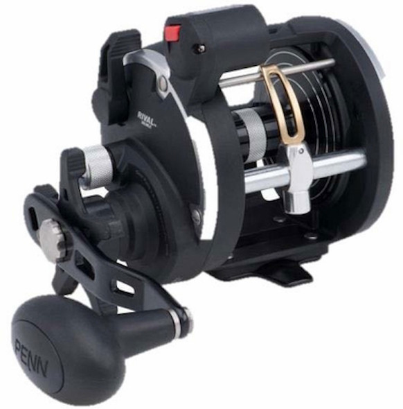 PENN Rival 20LW LC Spinning Reel with 2 Ball Bearings - 5.1:1 Gear Ratio