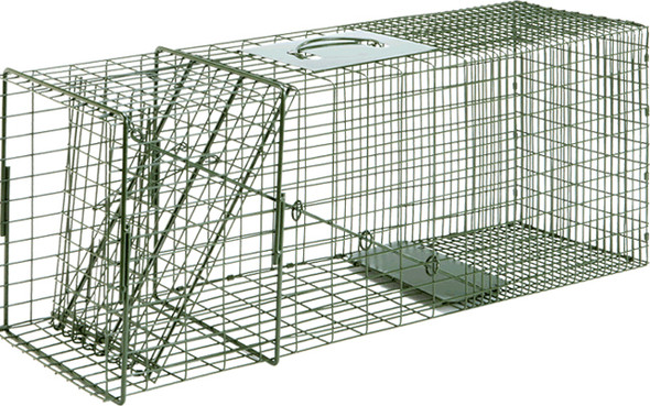 Duke Animal Traps Raccoon Cage Trap Model D1110 - 32 x 10 x 12 Inches