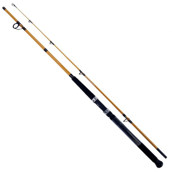 Daiwa FT Surf Rod 10' 2-Piece - Versatile Fishing Equipment for Surfcasting
