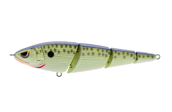SPRO/GAMAKATSU Sashimmy Swimmer 105 Cell Mate - Premium Fishing Lure