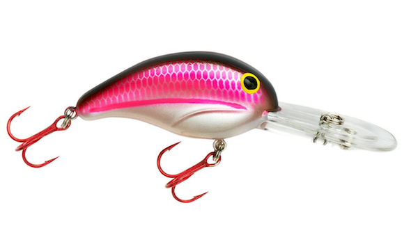 BANDIT DR 3/8 2" GRENADA SHAD