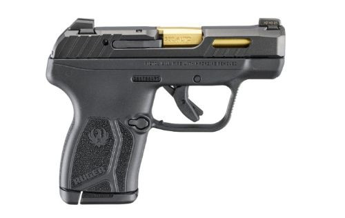 Ruger LCP Max .380 ACP Semi-Auto Pistol with Night Sights and Polymer Frame 13766