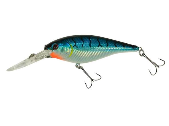 Berkeley Flicker Shad 7cm 5/16oz Blue Tiger Fishing Lure
