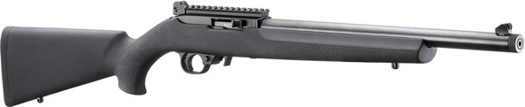 Ruger 10/22 Carbine .22 LR Semi-Automatic Sporting Rifle