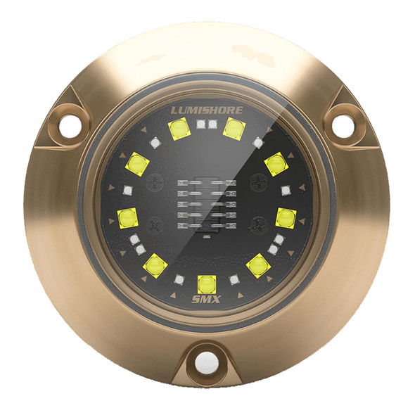 Lumishore ECLIPSE SMX24 Surface Mount Underwater Light with Dual Blue and White LEDs