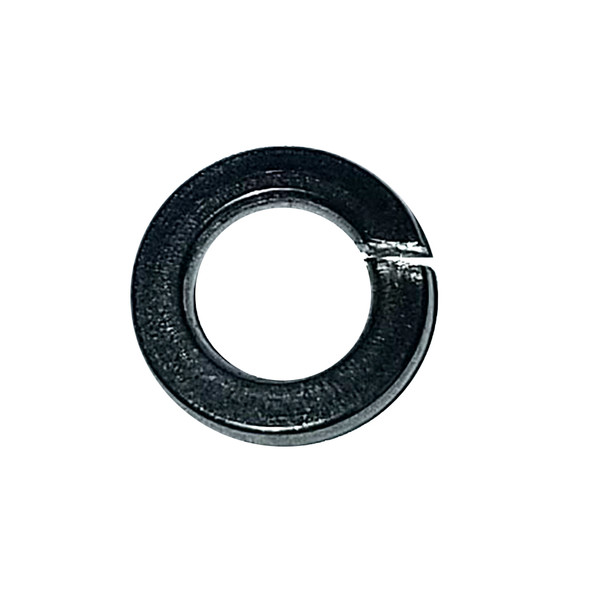 Maxwell Washer Spring SP0474 - 6mm 304 Stainless Steel for Durable Mechanical Support