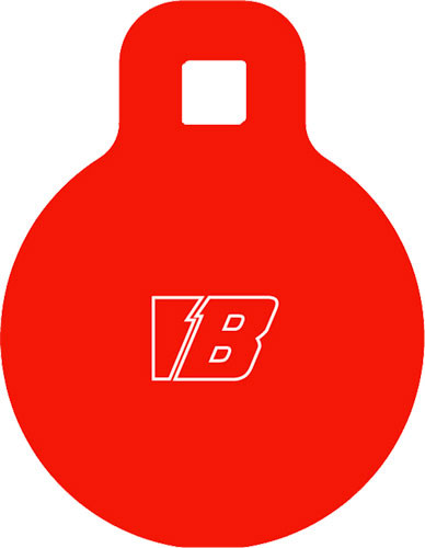 Bash Target Supply B965 AR500 Steel Gong Target - 4 inch Size for Pellet, Rimfire, and Rifle Shooting