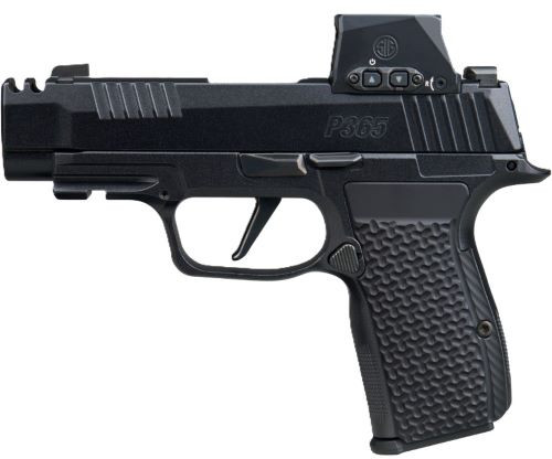 SIG Sauer P365 AXG Luxe 380 Auto Compact Pistol with Night Sights and 3 Magazines