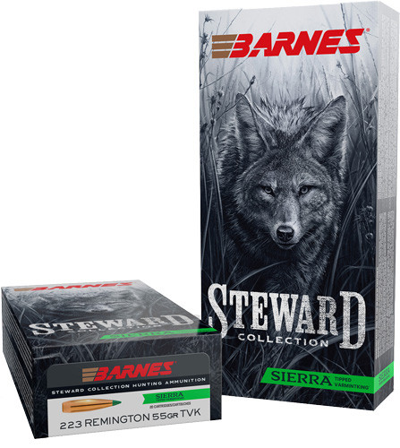 Barnes Steward .223 Rem 55 Grain Polymer Tipped Bullets - Reloadable Ammunition