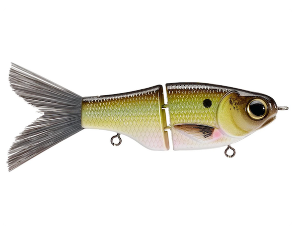 SPRO/GAMAKATSU KGB Lil' Guy 120 Grand Shad - Versatile Swimbait for Effective Fishing