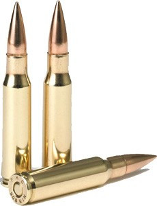 PMC 308 Winchester 147-Grain FMJ-BT Centerfire Rifle Ammunition, Box of 20