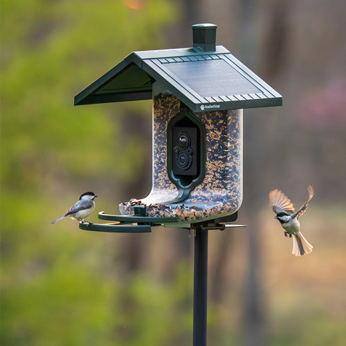 FeatherSnap Scout Birdfeeder - 4MP Solar-Powered Wildlife Camera with AI Bird Identification