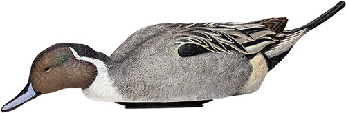 Avian X Power Shaker Pintail Duck Decoy - Lifesize Synthetic Drake with Speed Control