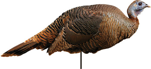 Montana Decoy Company M0042 Turkey Spring Decoy – Portable and Lightweight Turkey Decoy