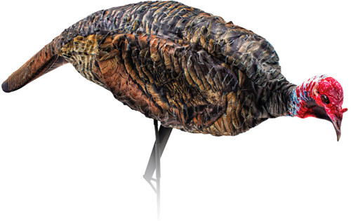 Montana Decoy Company M0085 Turkey Jake Decoy for Realistic Hunting