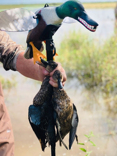 MOJO Outdoors Elite Series SpoonZilla Lifelike Duck Decoy - Plastic Drake with Ultra-Realistic Features