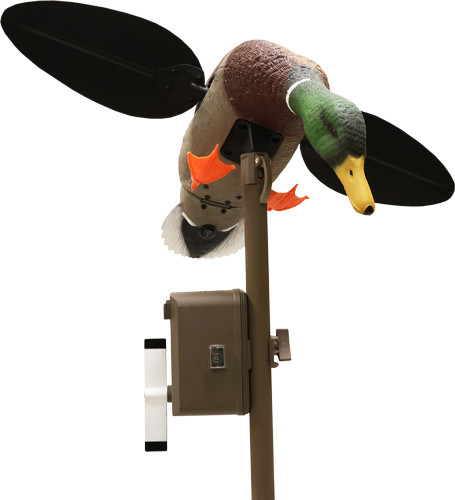 MOJO Outdoors Triple Whammy Lifelike Duck Decoy for Hunting and Decoy Spreading