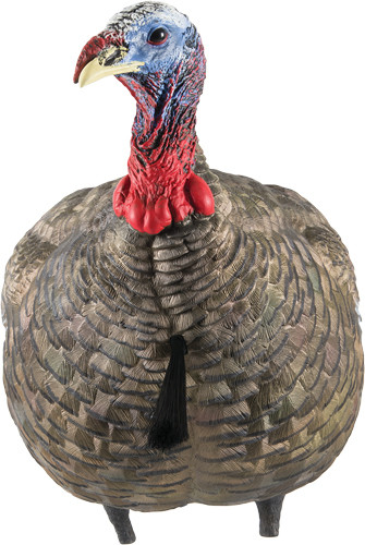 Avian X LCD Quarter Strut Jake Turkey Decoy - Lifesize Synthetic Hunting Decoy
