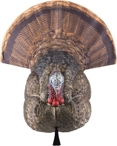 Avian X LCD Strutter Decoy - Lifesize Synthetic Turkey Decoy for Hunting and Wildlife Observation