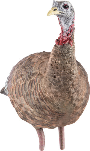 Avian X LCD Lookout Hen Decoy - Lifesize Synthetic Turkey Decoy for Hunting and Wildlife Photography