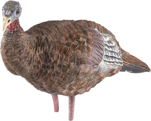 Avian X LCD Breeder Hen Decoy - Lifesize Synthetic Turkey Decoy for Hunting