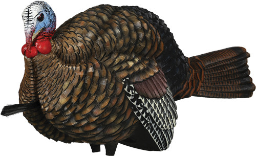 Avian X LCD 1/2 Strut Jake Decoy - Lifesize Synthetic Turkey Decoy