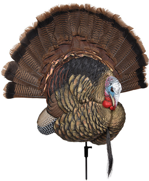 Avian X Trophy Tom Decoy - Lifesize Synthetic Turkey Decoy for Hunting and Wildlife Observation
