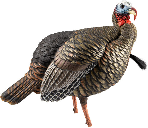 Avian X HDR Jake Decoy - LifeSize Synthetic Turkey Decoy with Removable Heads