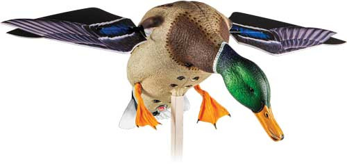 Avian X PowerFlight Spinning Duck Decoy - Lifesize Drake with Motion and Dual Stake System