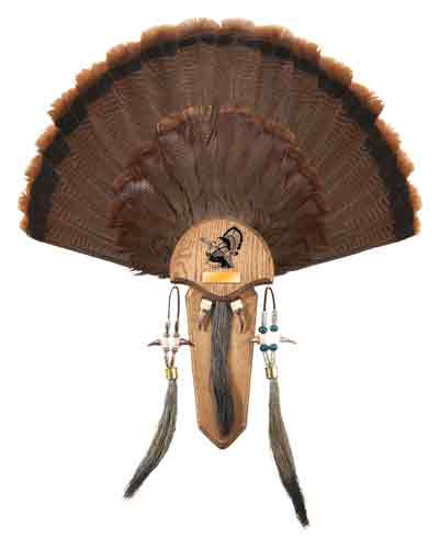 Hunters Specialties HS-06949 Turkey Tail and Beard Mount Display Kit