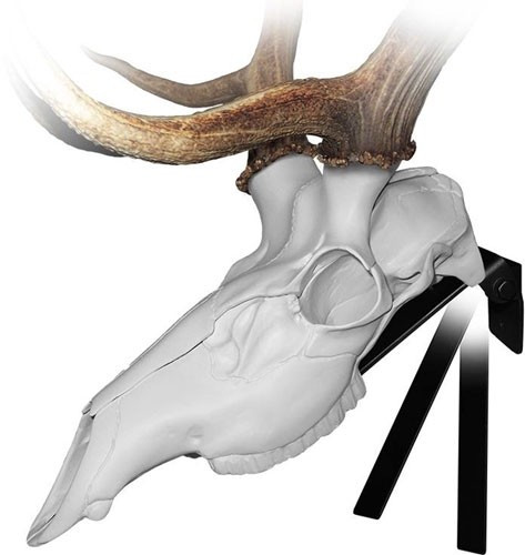 Mountain Mike's MMREP Elk Positioner for Bigger Game Species