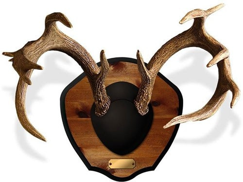 Mountain Mike's MMRPM Deer Antler Cover with Plaque - Classic Woodgrain Finish