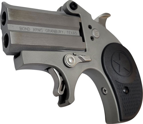 Bond Arms BASTB22LR Stubby 22LR Break Action Pistol with Stainless Finish