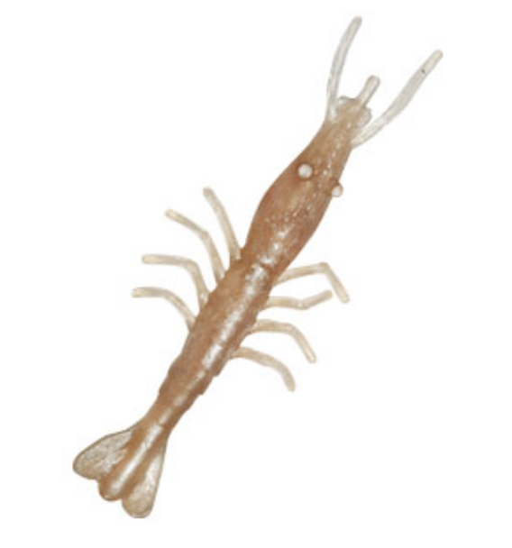 Z-Man Fishing Products SSHRP3-228PK5 Scented ShrimpZ 3-inch Natural Baits (5-Pack)