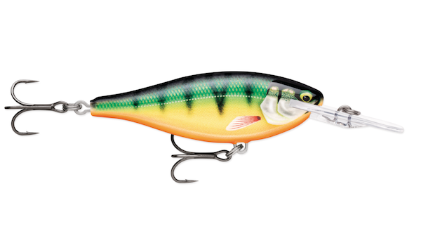 Rapala Shad Rap Elite 55 Gilded Perch Fishing Lure - SRE55GDP