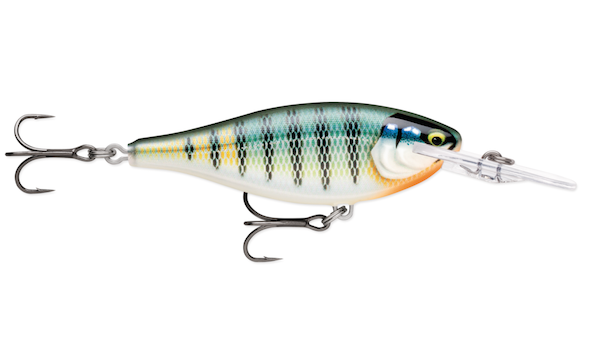Rapala Shad Rap Elite 55 Gilded Blue Gill Fishing Lure - SRE55GDBG