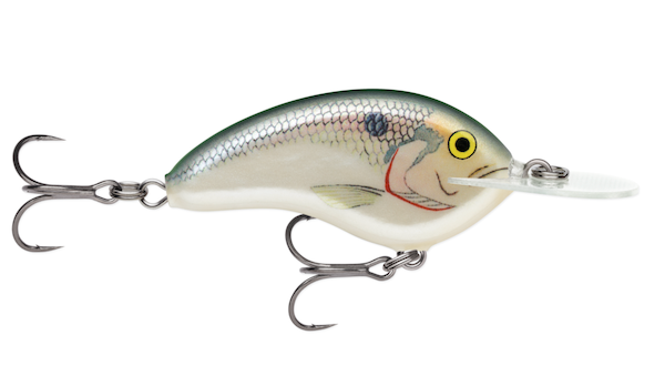 Rapala OTT's Garage Deep Tiny 07 Shad - Precision Lure for Freshwater and Saltwater Fishing