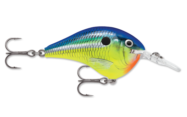 Rapala Dives-To 16 Parrot Fishing Lure - Durable and High-Performance Bait