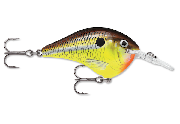 Rapala Dives-To 16 Hot Mustard Deep Diver Lure - Perfect for Bass and Walleye Fishing