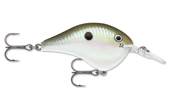 Rapala Dive-To 16 Green Gizzard Shad Fishing Lure - DT16GGSD