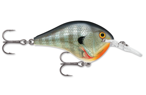 Rapala Dives-To 14 Bluegill Fishing Lure - Durable Plastic Design for Freshwater Angling