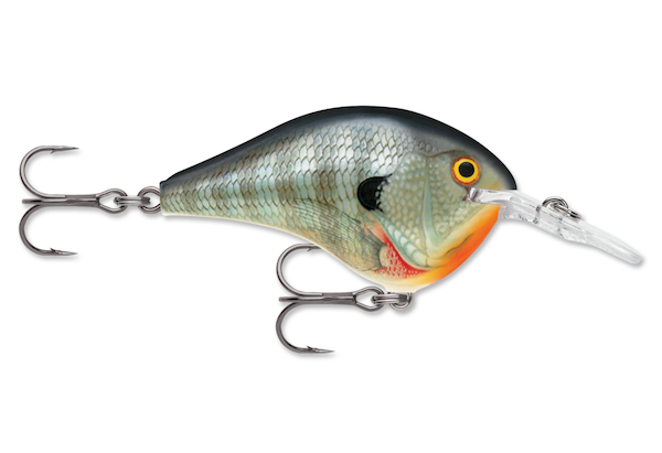 Rapala Dives-To 10 Bluegill Lure - Model DT10BG for Freshwater Fishing