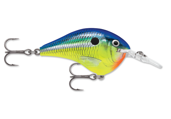 Rapala Dives-To 06 Parrot Fishing Lure - Durable Trolling and Casting Bait