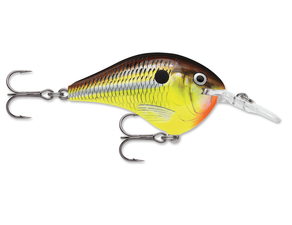 Rapala Dives-To 06 Hot Mustard Diving Minnow - Durable Fishing Lure for Saltwater and Freshwater