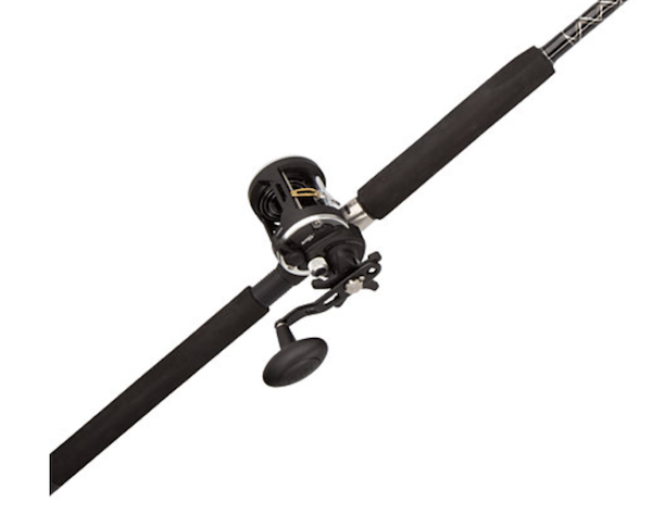 PENN Rival 20LW Casting Rod, 6'6" Medium-Heavy Power with 2 Ball Bearings