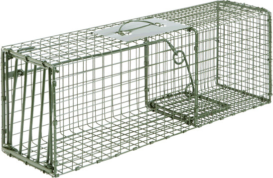 Duke Animal Traps HD Cage Trap for Squirrels - Model 1109