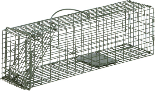 Duke Animal Traps Duke Cage Trap Squirrel Model 1100, 16 x 5 x 5 Inches