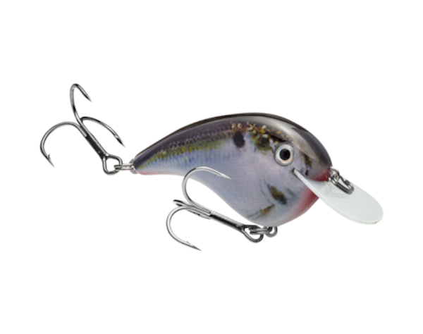 Strike King SK Chick Magnet Crankbait Natural Shad - Flatsided Lure for Freshwater and Saltwater Fishing