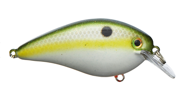 Strike King SK KVD Square Bill 1.5 Olive Shad - Versatile Crankbait for Bass Fishing